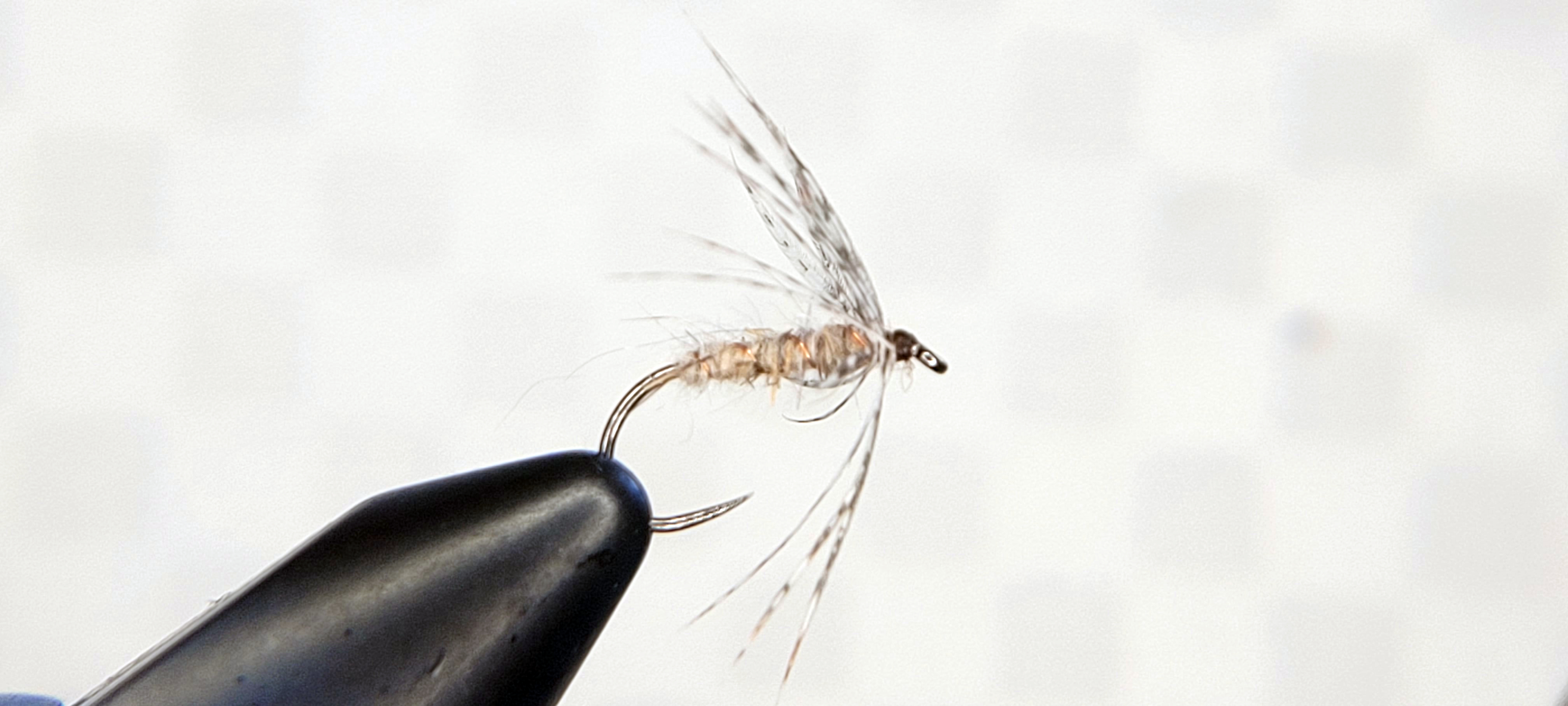 march-brown-7.jpg